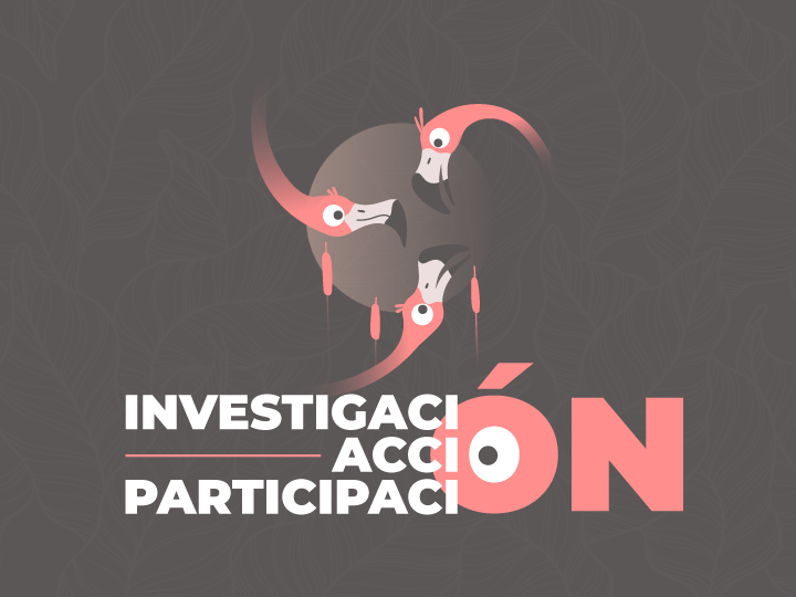 investigación acción participativa