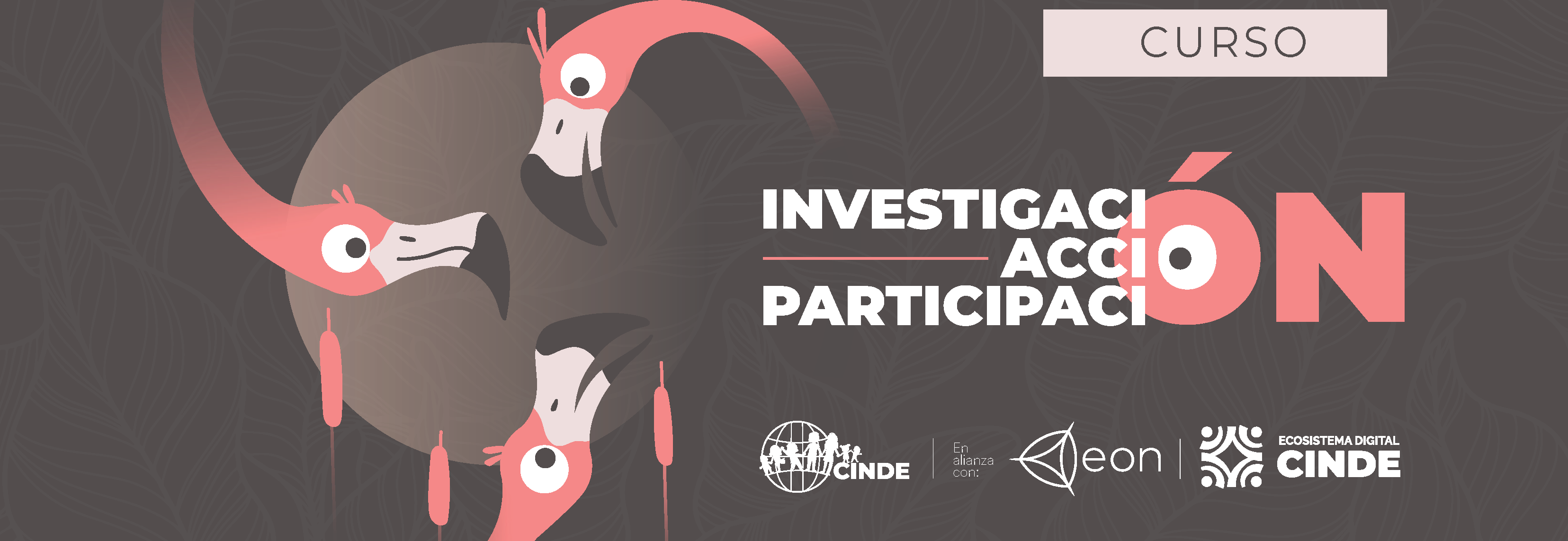 MÓDULO 1 INVESTIGACIÓN-ACCIÓN-PARTICIPACIÓN_ (1)